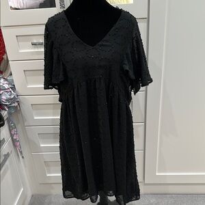 ARULA Black Flutter Sleeve V-Neck Mini Dress